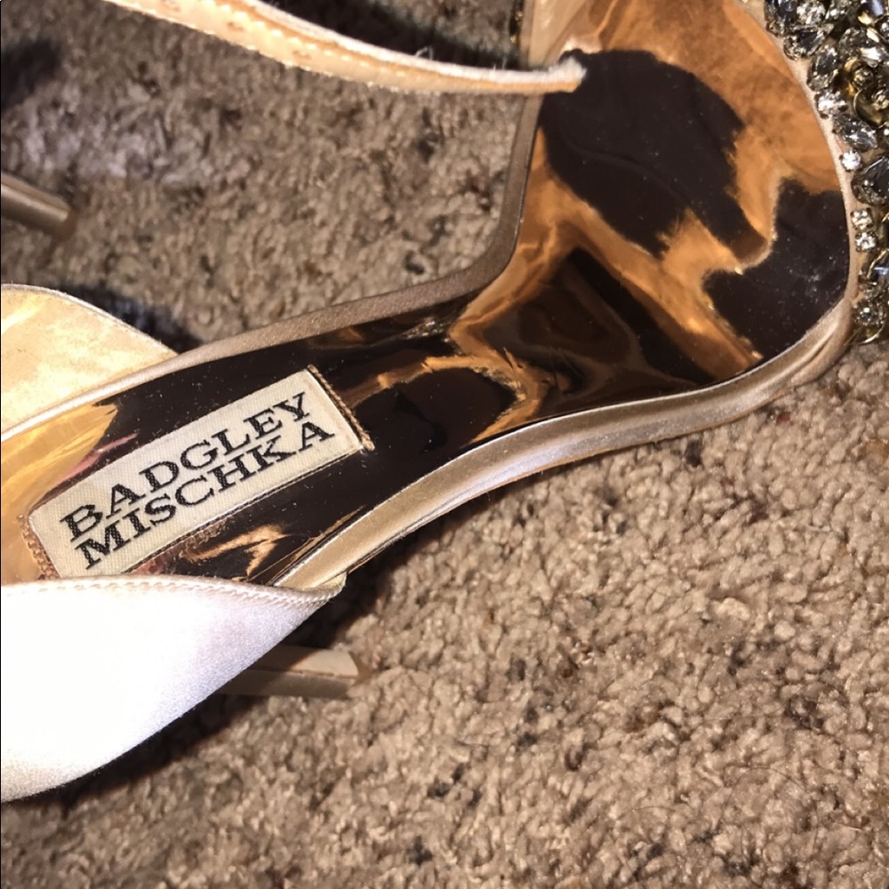 Terani couture dress/ Badgley Mischka heels - Picture 7 of 8